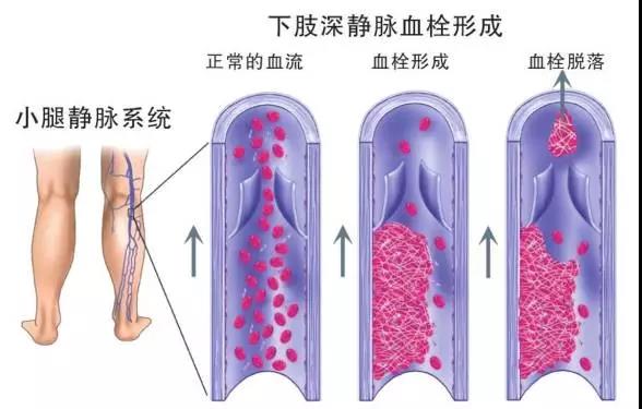 微信圖片_20210324161832.jpg 微信圖片_20210324161832.jpg